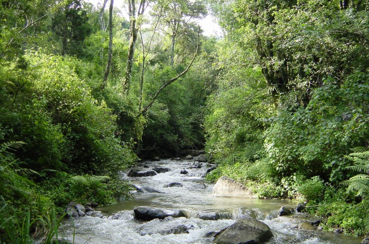 Rockwood Karkloof Forest Lodge & Mountain Cabin Yarrow 外观 照片