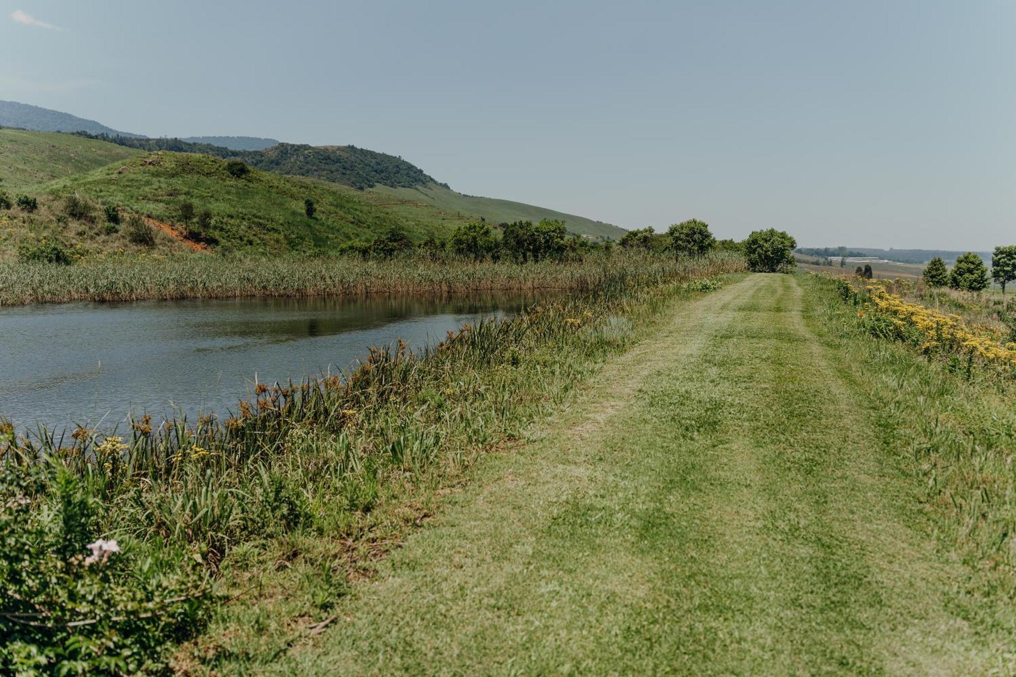 Rockwood Karkloof Forest Lodge & Mountain Cabin Yarrow 外观 照片